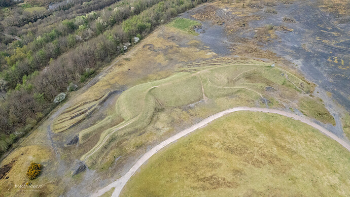 20250409131208_DJI_0367_HDR
