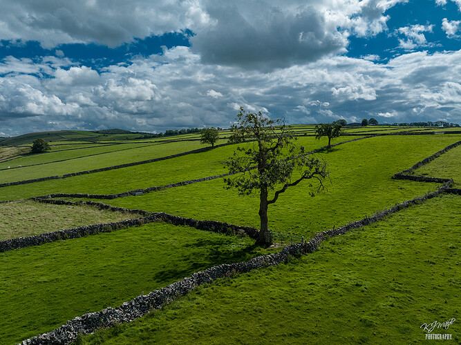 DJI_0166-HDR