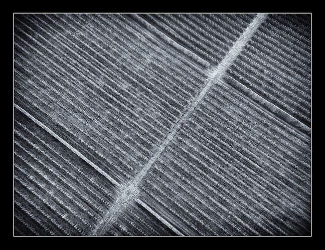 DJI_0071
