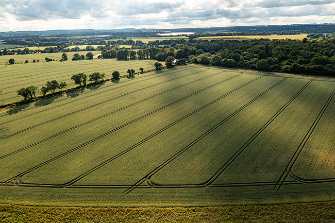 DJI_0125