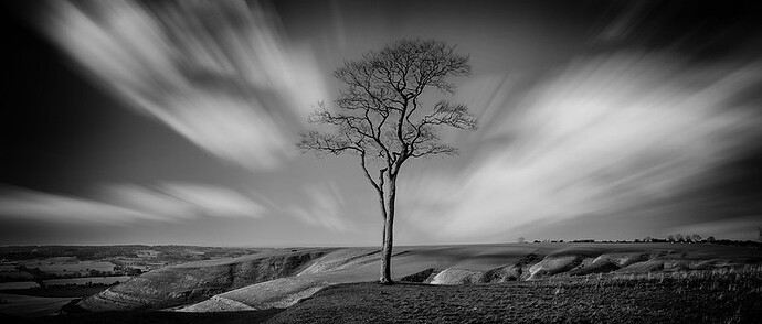 5d7997e2-5f44-416c-84ee-53a7be7f4d13_5367799376