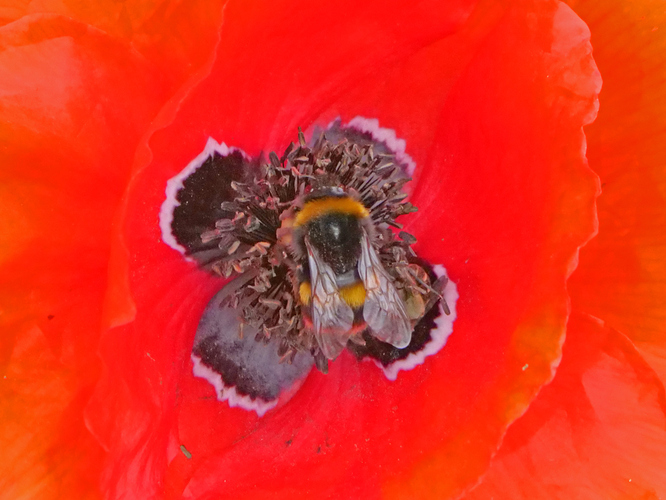 P1068511