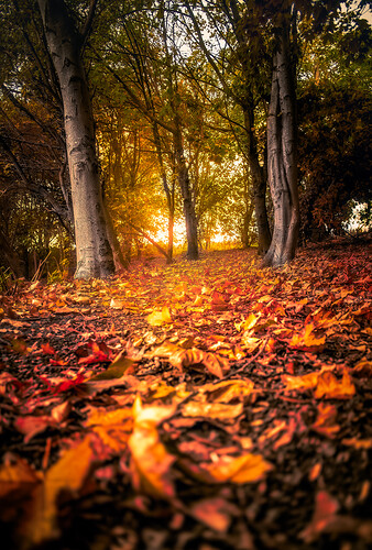 DSC06785-Edit-Edit-4