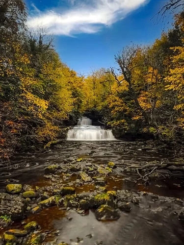 6a4efc8c278c15f4990607415643da7131e0fc45