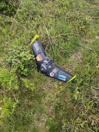 PXL_20240524_151015440.MP