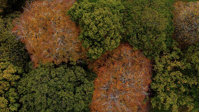 DJI_20251030123843_0354_D-2