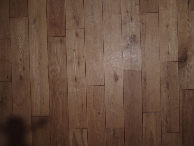 DJI_0449