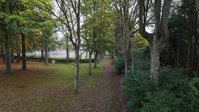 DJI_20251018173158_0548_D