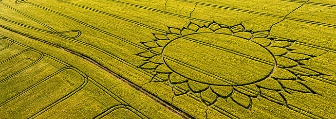 crop circle 4