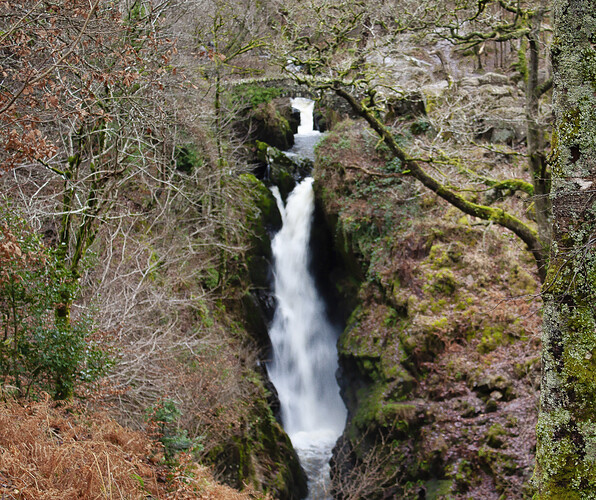 Aira Force1