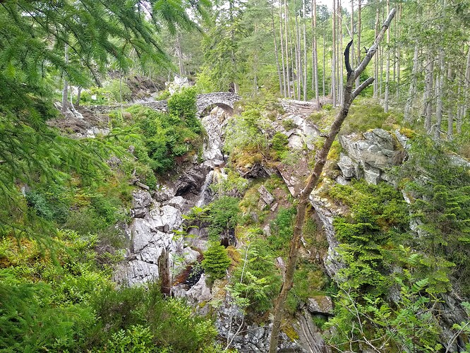 IMG_20220627_172830707