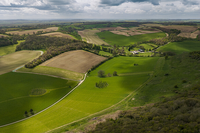 Hippenscombe Bottom below Fosbury Camp