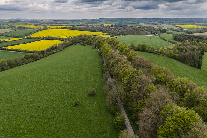 Tidcombe Down near Tidcombe Long Barrow