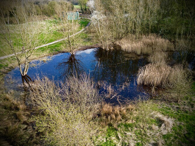 dji_fly_20260321_141416_4_1774110762552_photo