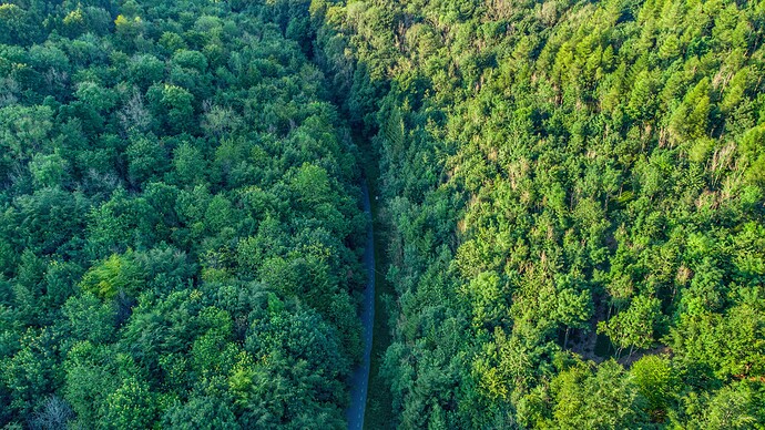 DJI_0606-01