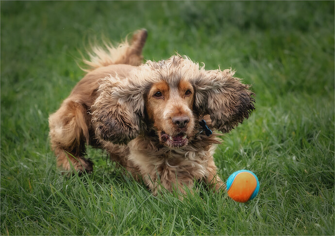 Eyeing the ball