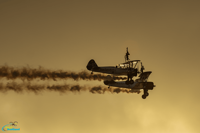 IMG_8763_crop_AS