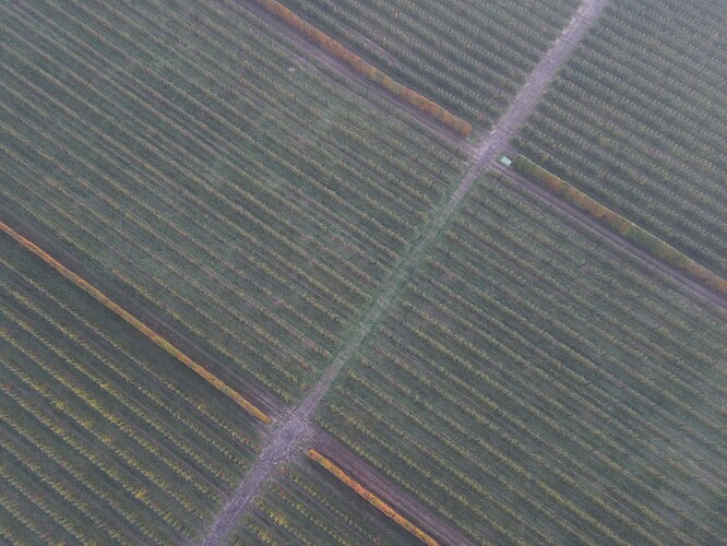 Photo_6619207_DJI_71_jpg_6015516_0_20201177024_photo_original