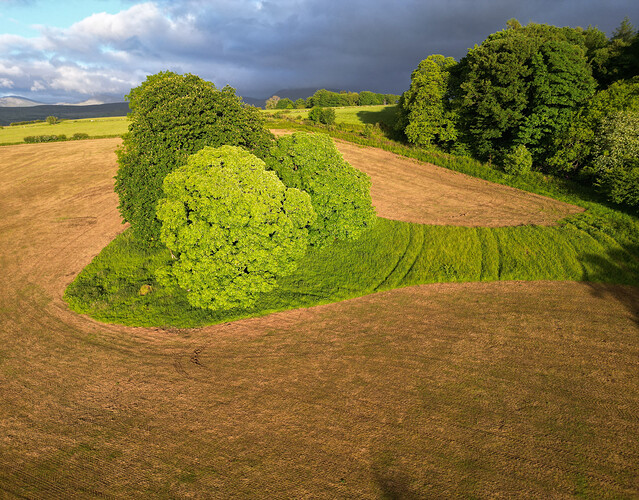 DJI_0198-2