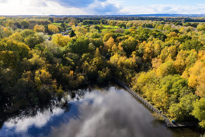 DJI_20251101132328_0394_D-2nd B and C