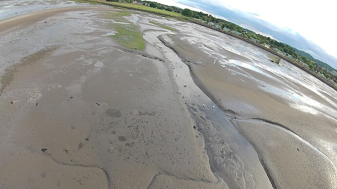 Tayport - Riding the low tide - 07-07-2024 (5)
