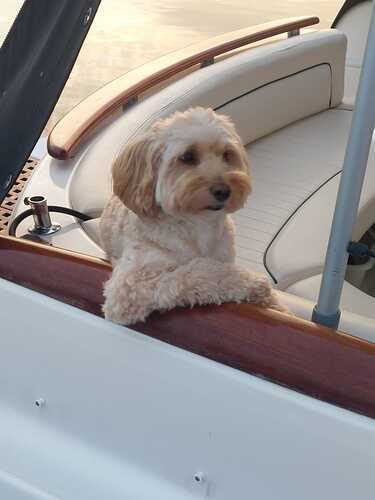 WhatsApp Image 2026-02-17 at 10.08.01