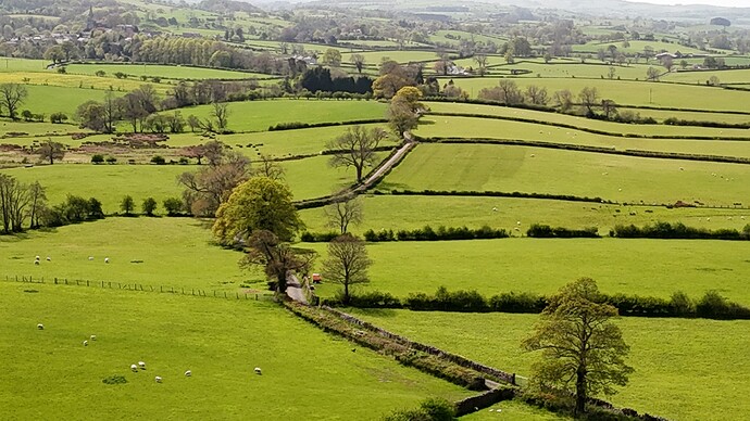 dji_fly_20250427_140920_0765_1745766938948_photo