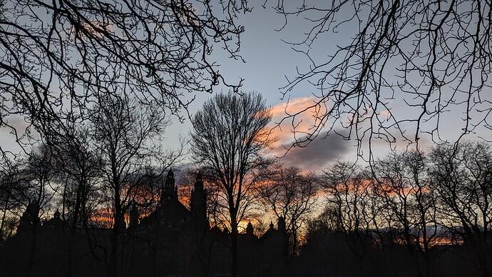 PXL_20240315_181623357