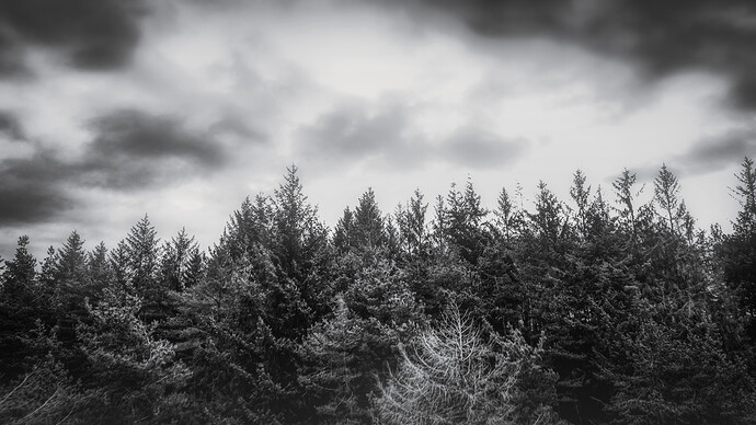 DJI_20251214081524_0222_D-Edit-Edit-Edit-2