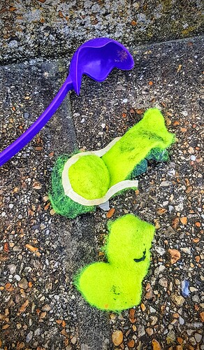 IMG_20210408_102933_HDR