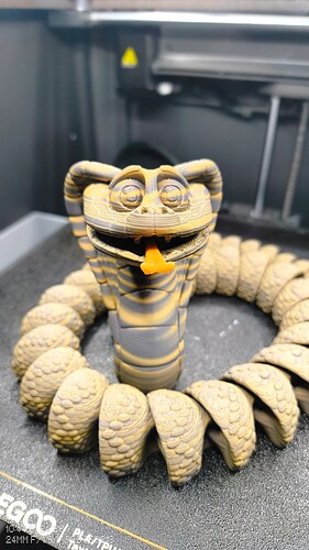 IMG_20260124_104403198