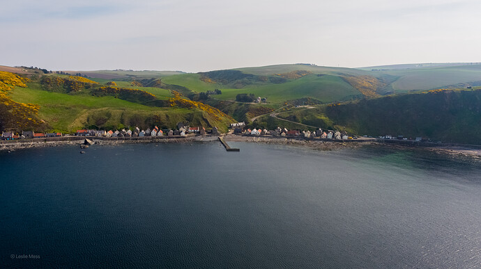 DJI_0972
