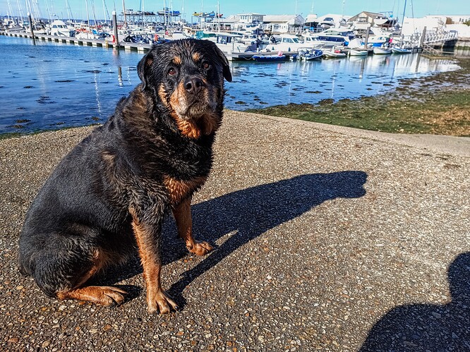 IMG_20260406_163320-EDIT