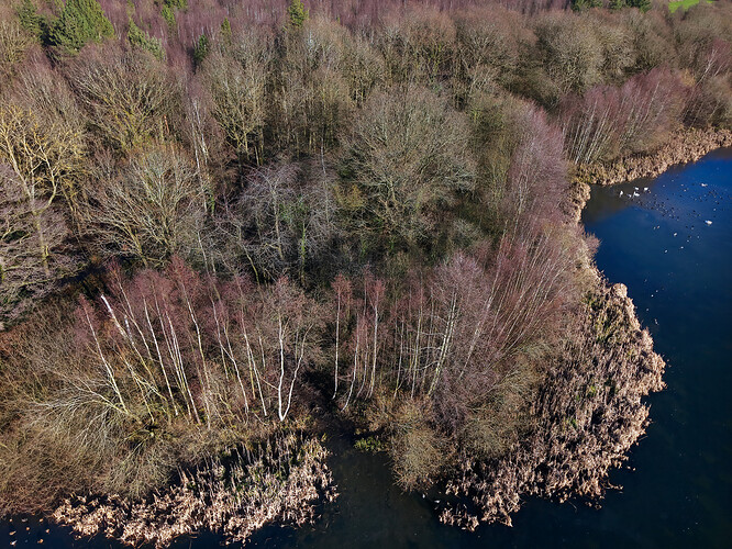 6d7ea9f2-3c80-4300-a3c0-de370d695735_pano_0002