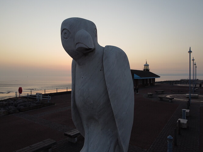 DJI_0801