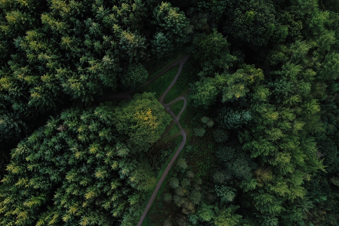 org_c4e4b1a8e15ce8b0_1600019086000