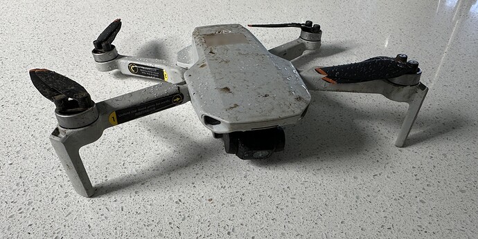 429953329_3230381643934164_783237039003989451_n