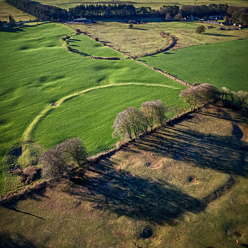 a8182d75-d76a-4c4e-af5e-bb044472ef5a_dji_202602