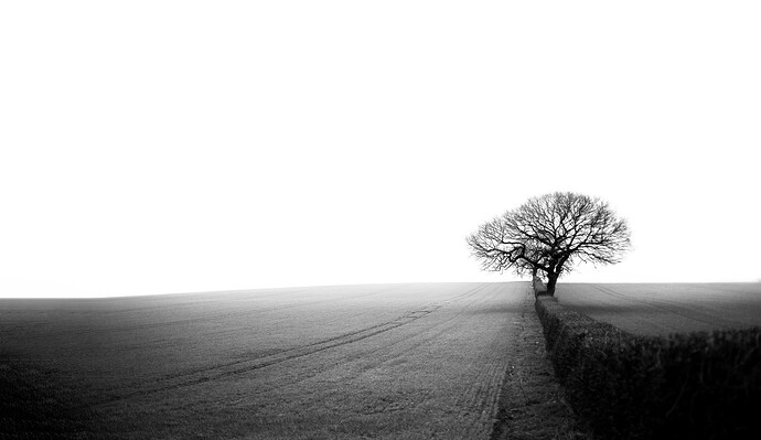 DSC07348-Edit-Edit-2