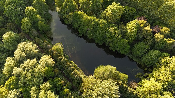 DJI_20250614195336_0011_D