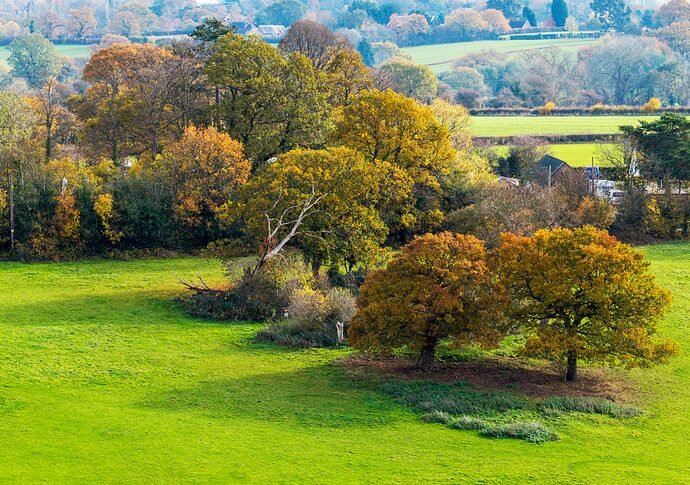 DJI_20251105113011_0443_D