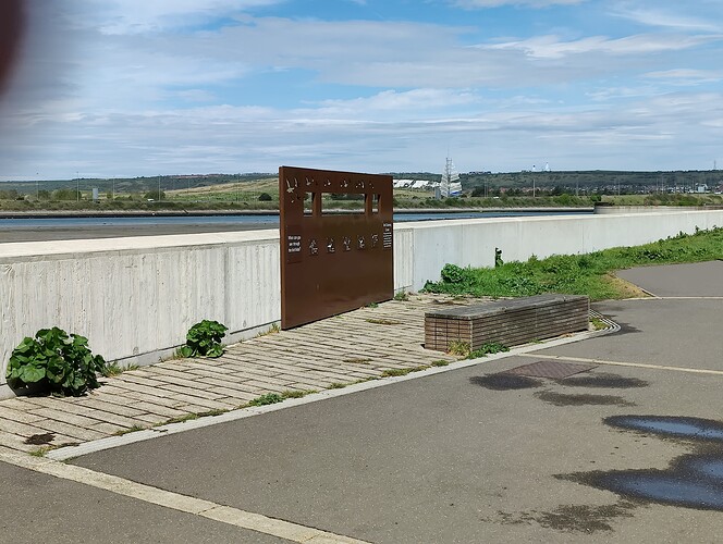 IMG20250419120259
