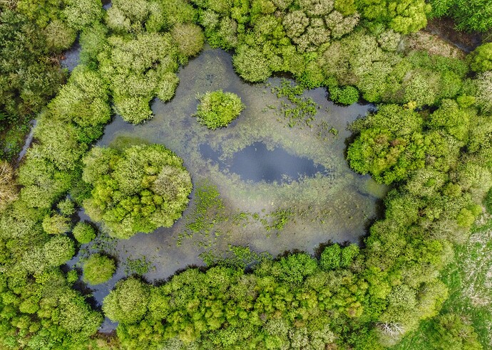 Photo_6553605_DJI_5_jpg_4300259_0_202159135312_photo_original-01