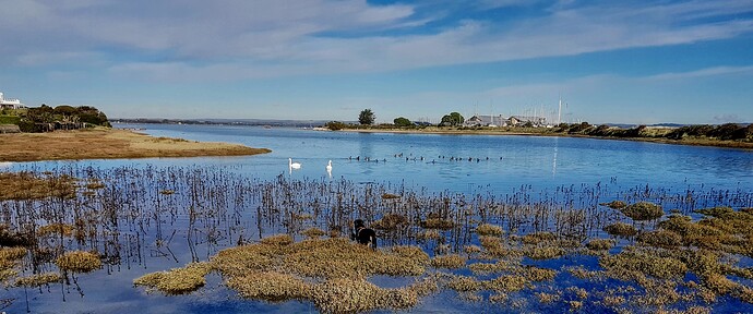 IMG_20211102_102704_HDR