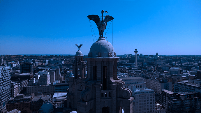 Liver Birds