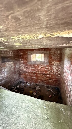 a87a7072-1c2e-4399-a40e-17da16e9bae8_img_1729