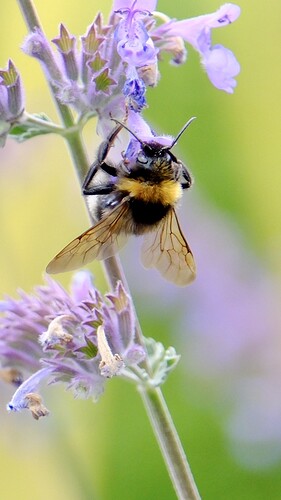 DSCF3587