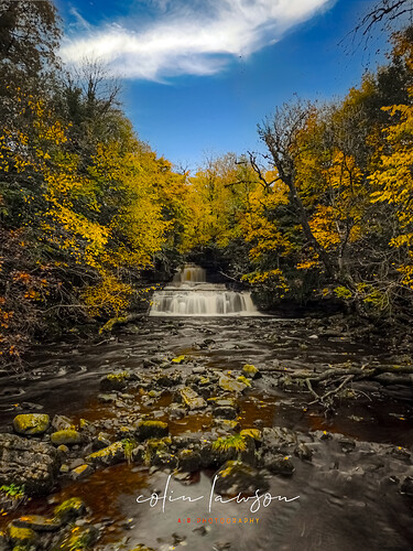 Cotter Force edit 2