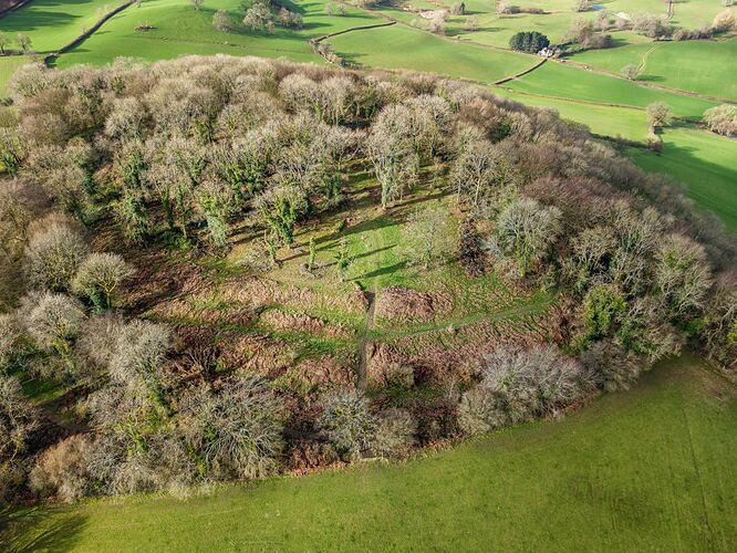 f7b9e358-ef79-431f-abfd-8bea3cc00a7a_dji_202603