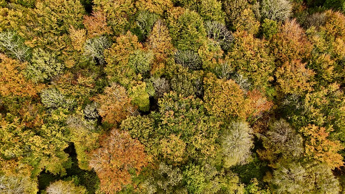DJI_20251027131308_0012_D